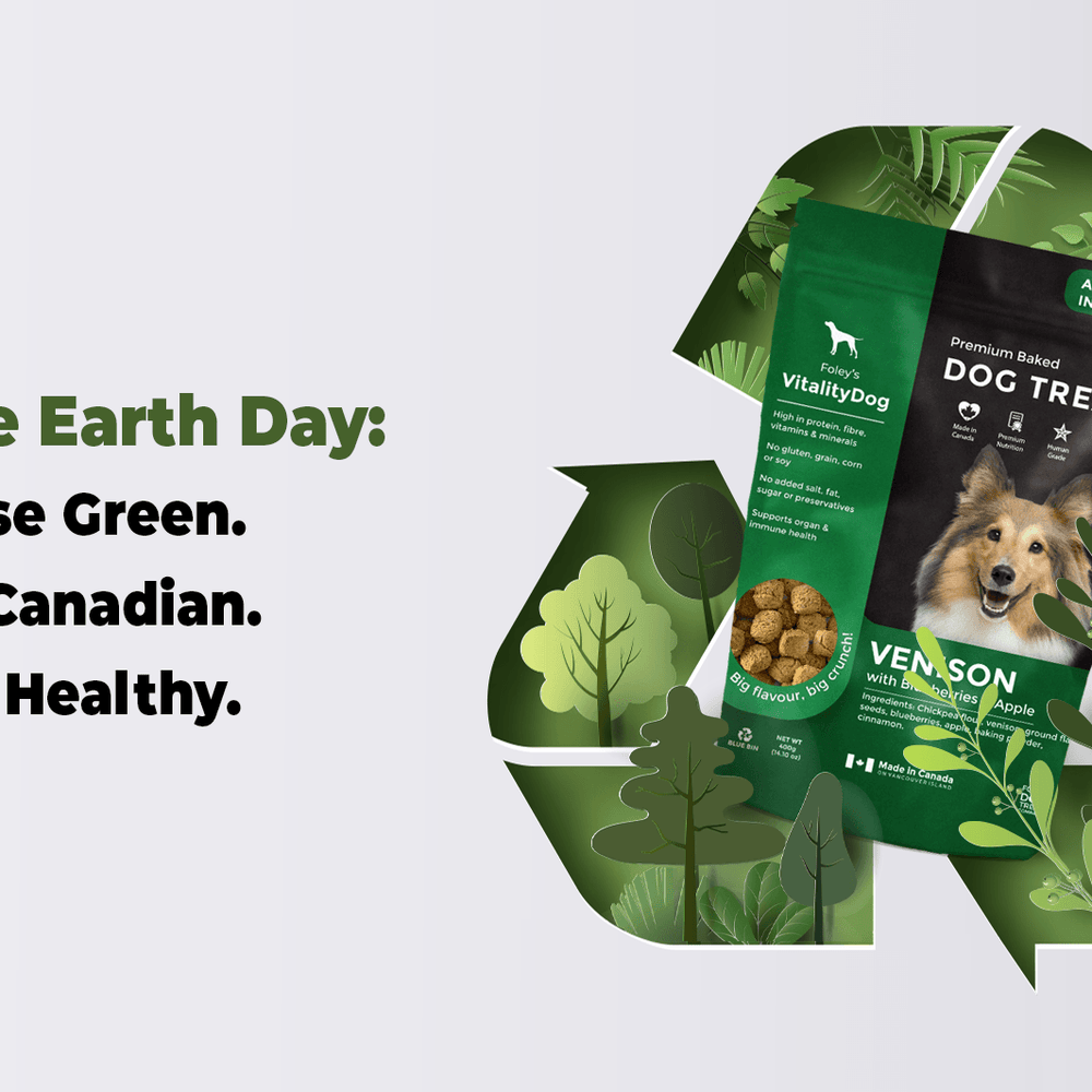 Choose Green. Shop Canadian. Treat Healthy. - Foley Dog Treat Company