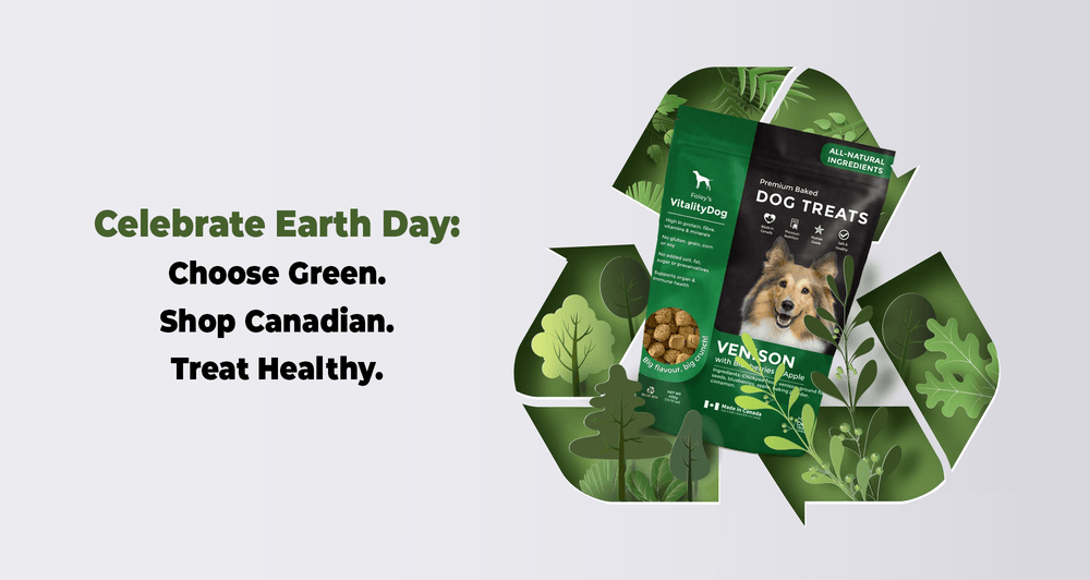 Choose Green. Shop Canadian. Treat Healthy. - Foley Dog Treat Company