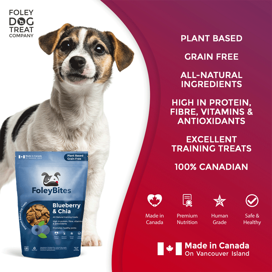 Blueberry & Chia Foley Dog Treat Company