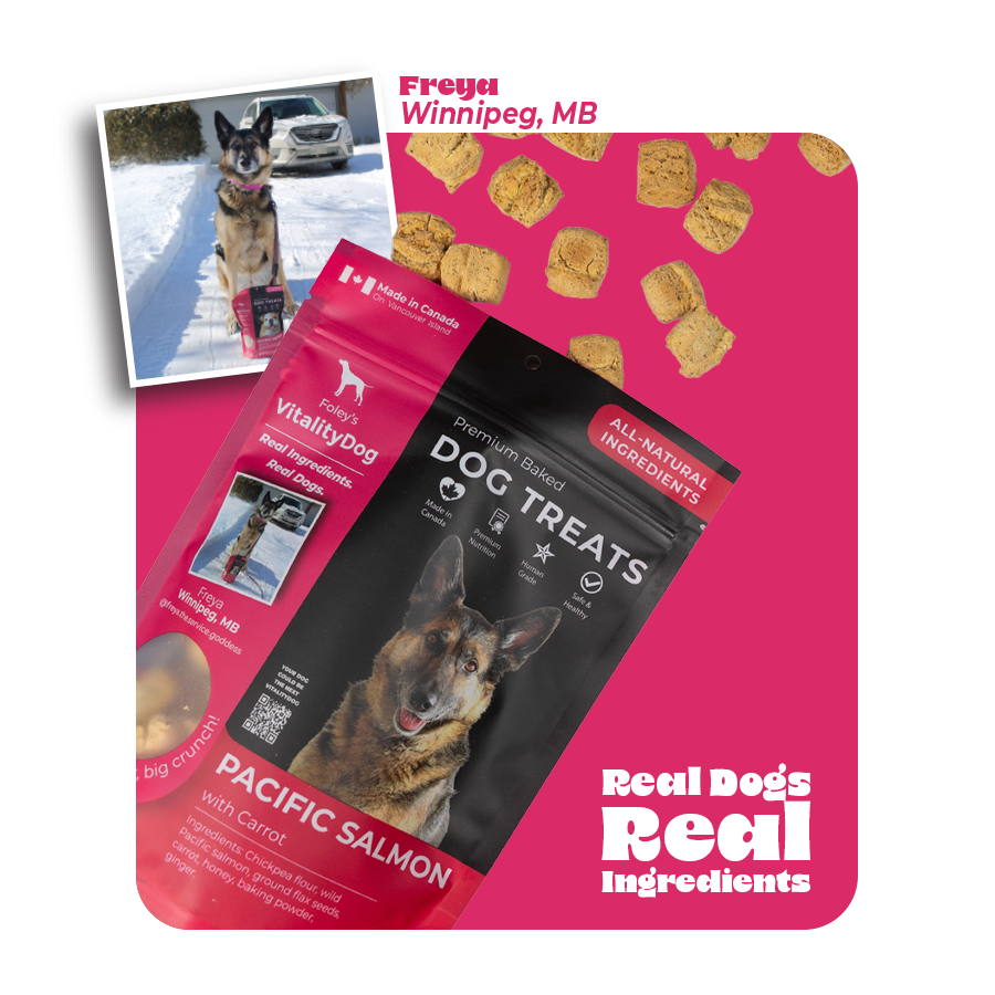 Pacific Salmon with Honey Carrots – Foley Dog Treat Company