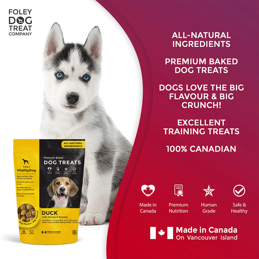 Duck with Honey and Banana Foley Dog Treat Company