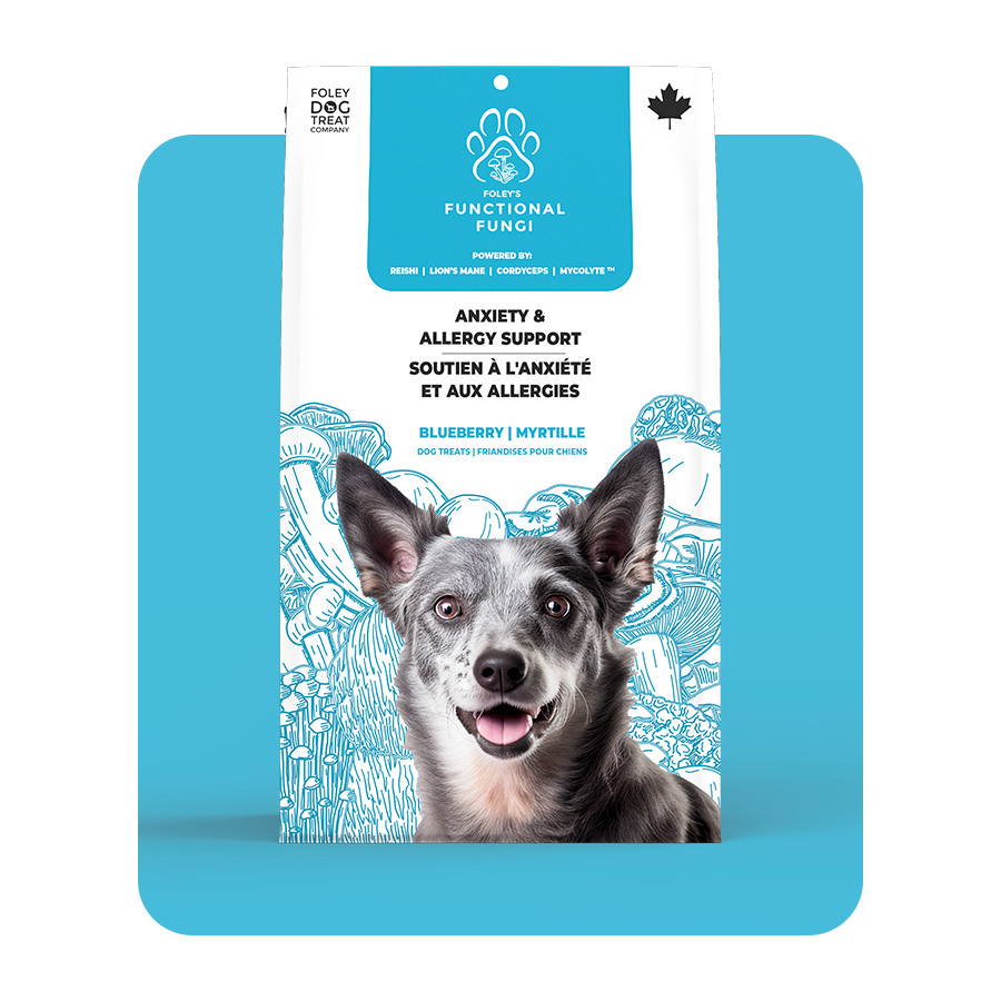 Anxiety & Allergy Support - Blueberry – Foley Dog Treat Company