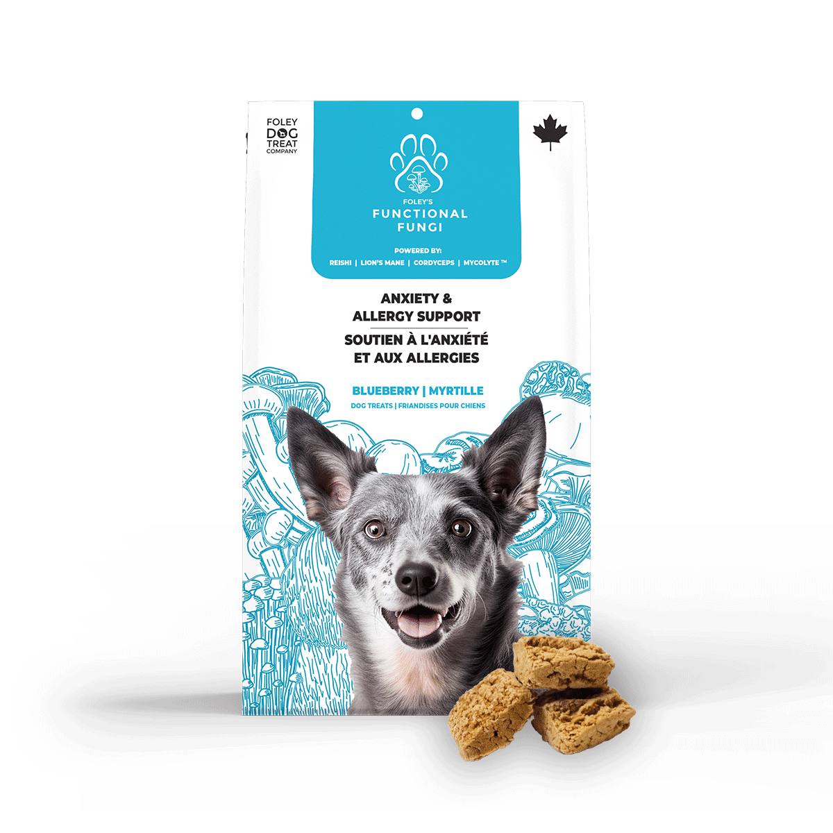 Dog treats to help online with anxiety