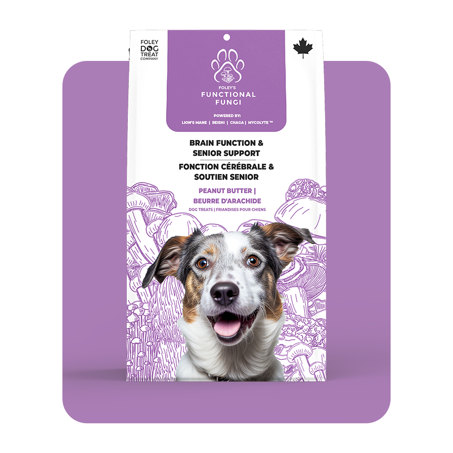 Brain Function & Senior Support - Peanut Butter – Foley Dog Treat