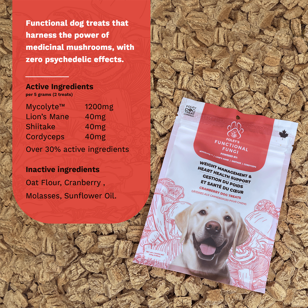 Benefits of healthy dog treats