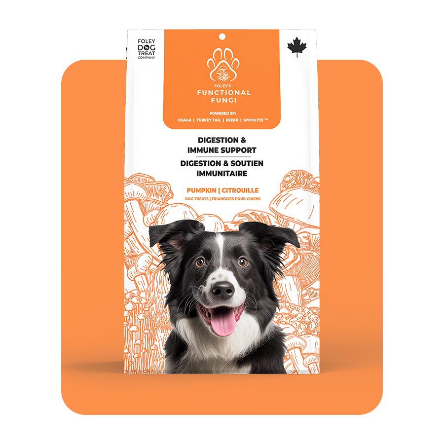 Digestion & Immune Support - Pumpkin – Foley Dog Treat Company
