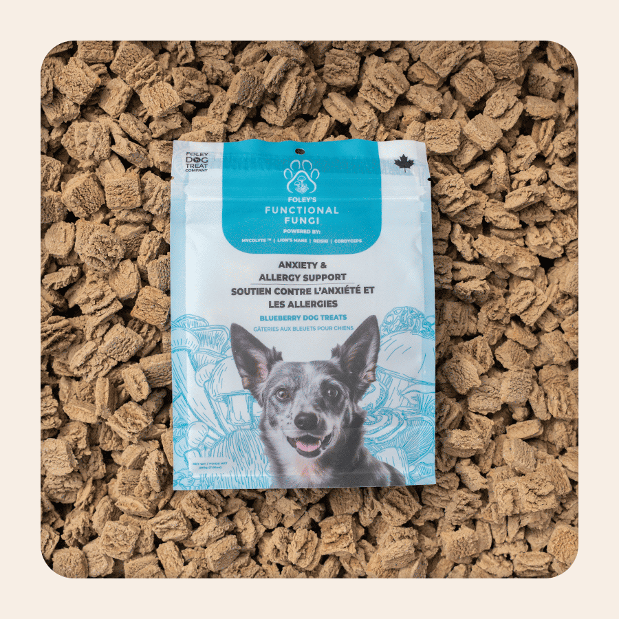 Anxiety & Allergy Support - Blueberry – Foley Dog Treat Company
