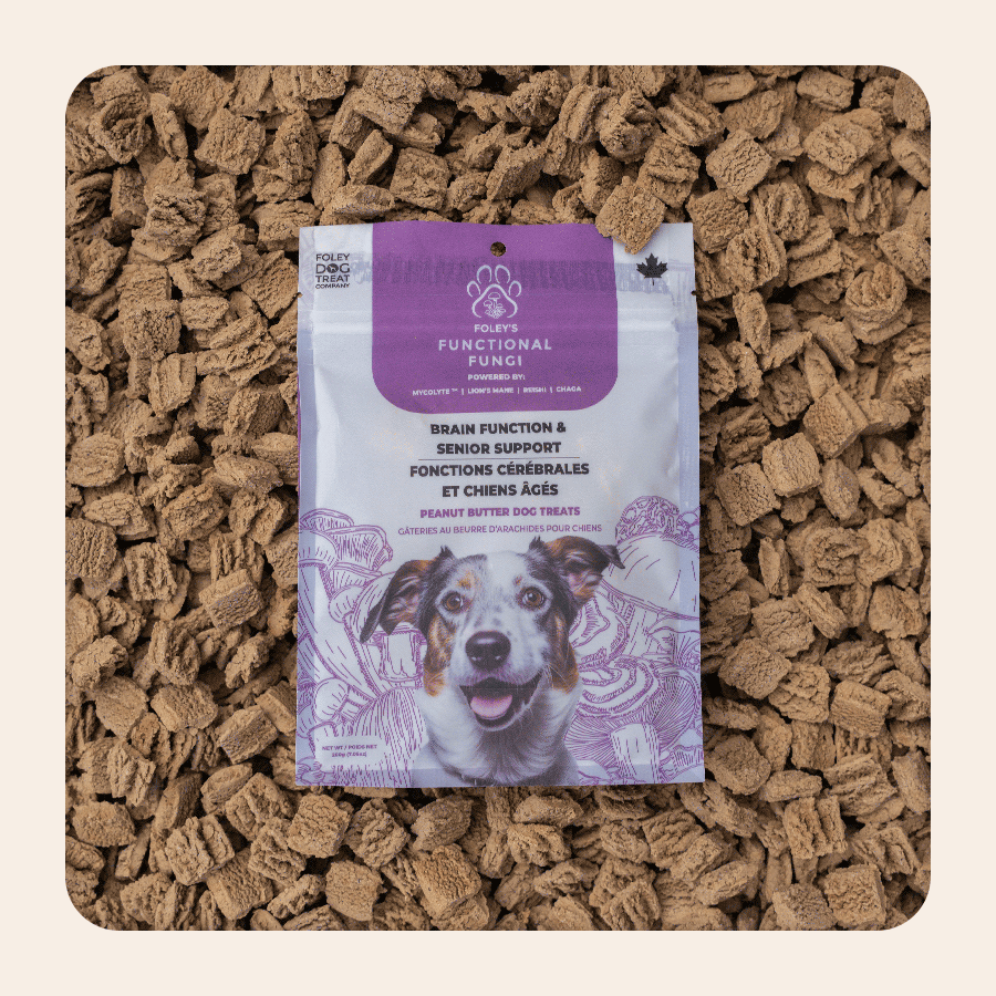Brain Function & Senior Support - Peanut Butter – Foley Dog Treat