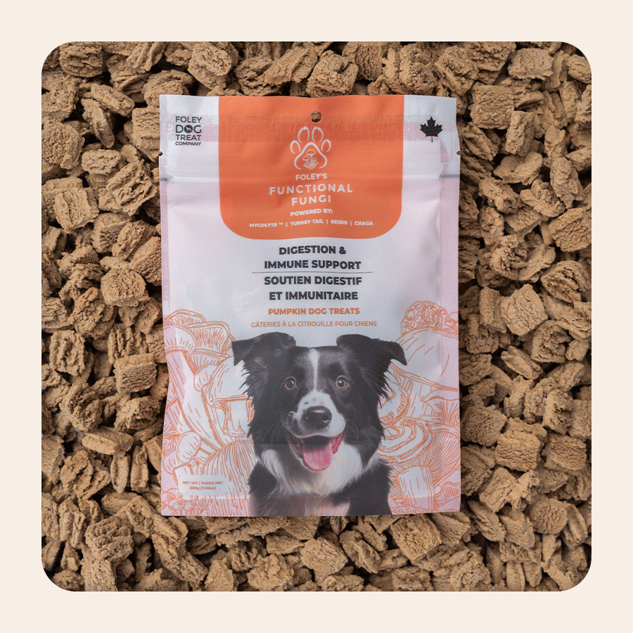 Digestion & Immune Support - Pumpkin – Foley Dog Treat Company