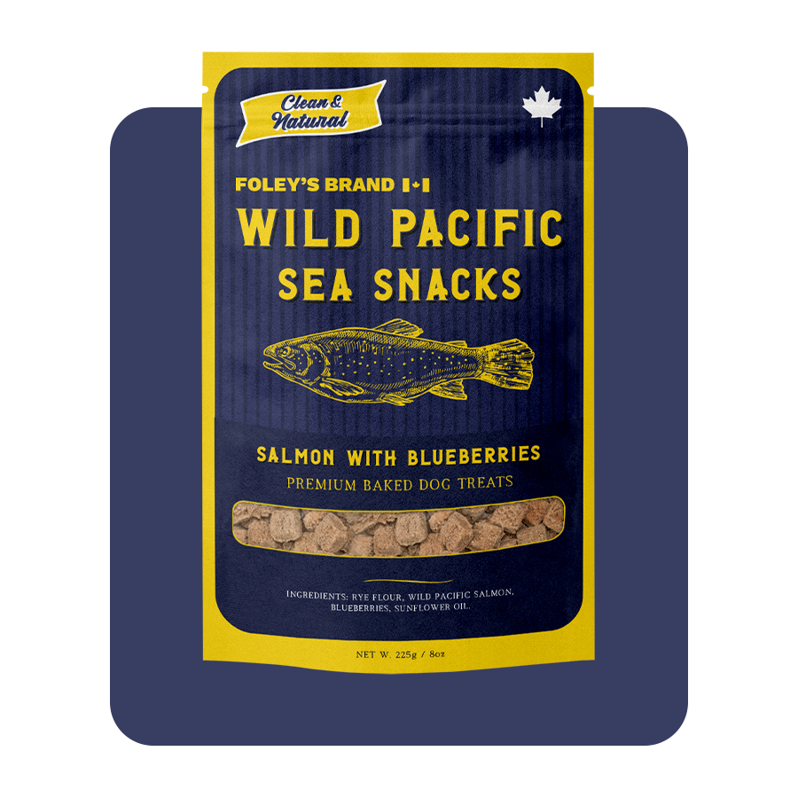 Salmon with Blueberries – Foley Dog Treat Company