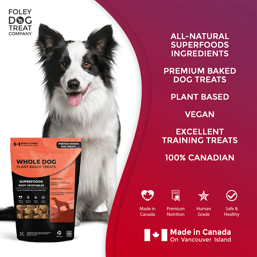 Superfoods Root Vegetables Foley Dog Treat Company