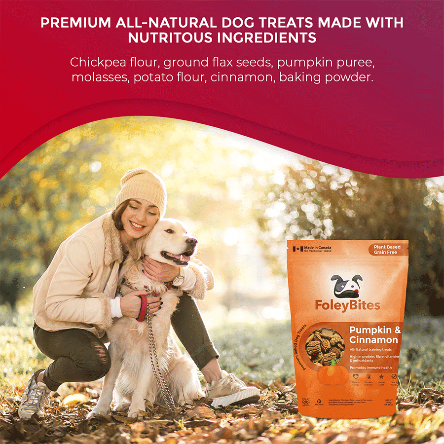 Pumpkin & Cinnamon - Foley Dog Treat Company