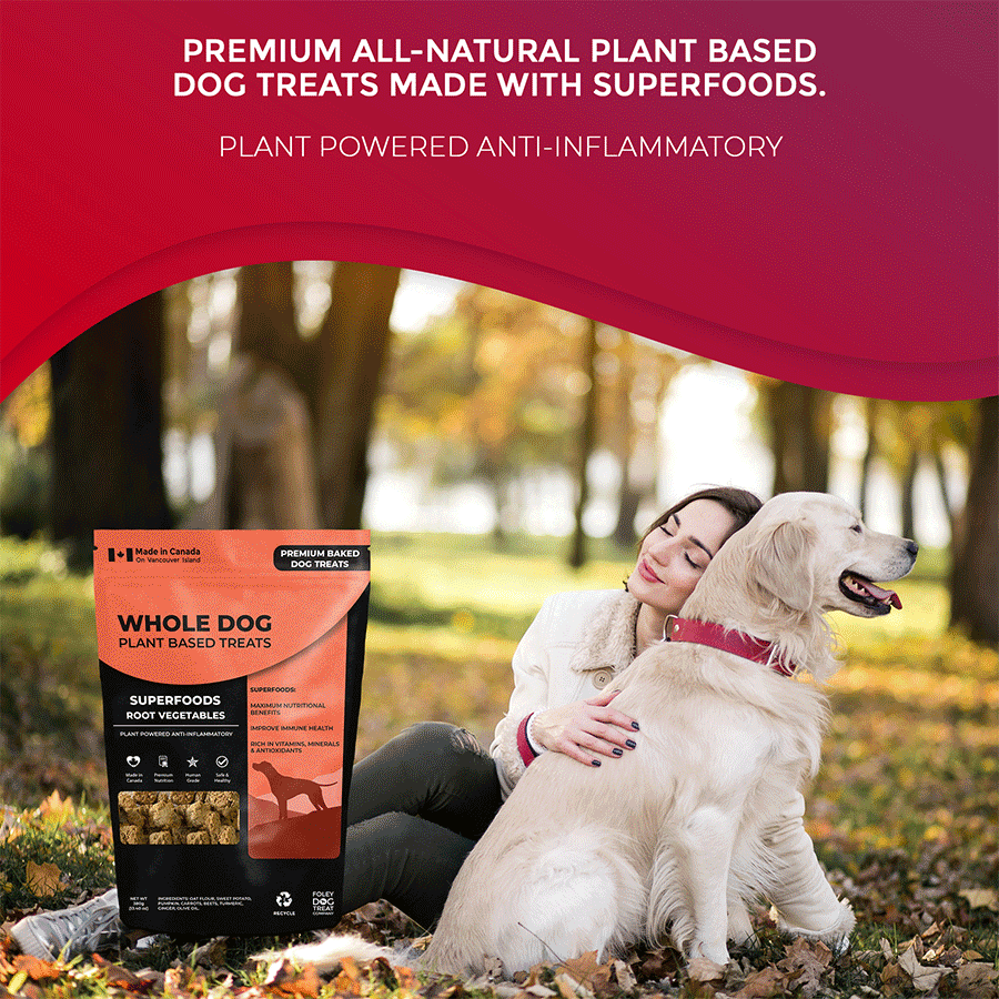 Anti inflammatory dog treats outlet