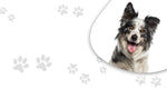 Foley Dog Treat Company