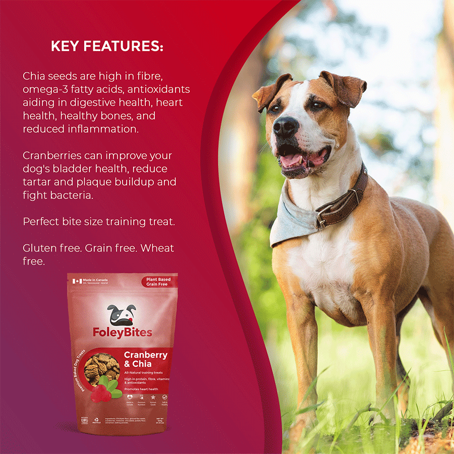 Cranberry online dog leads