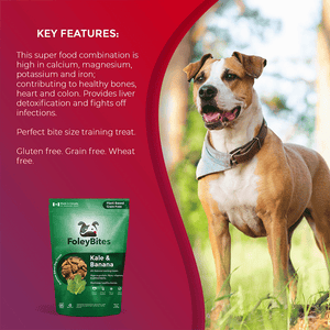 
                  
                    Kale & Banana - Foley Dog Treat Company
                  
                