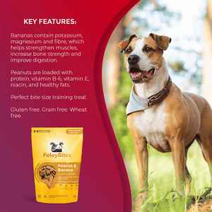 
                  
                    Peanut & Banana - Foley Dog Treat Company
                  
                