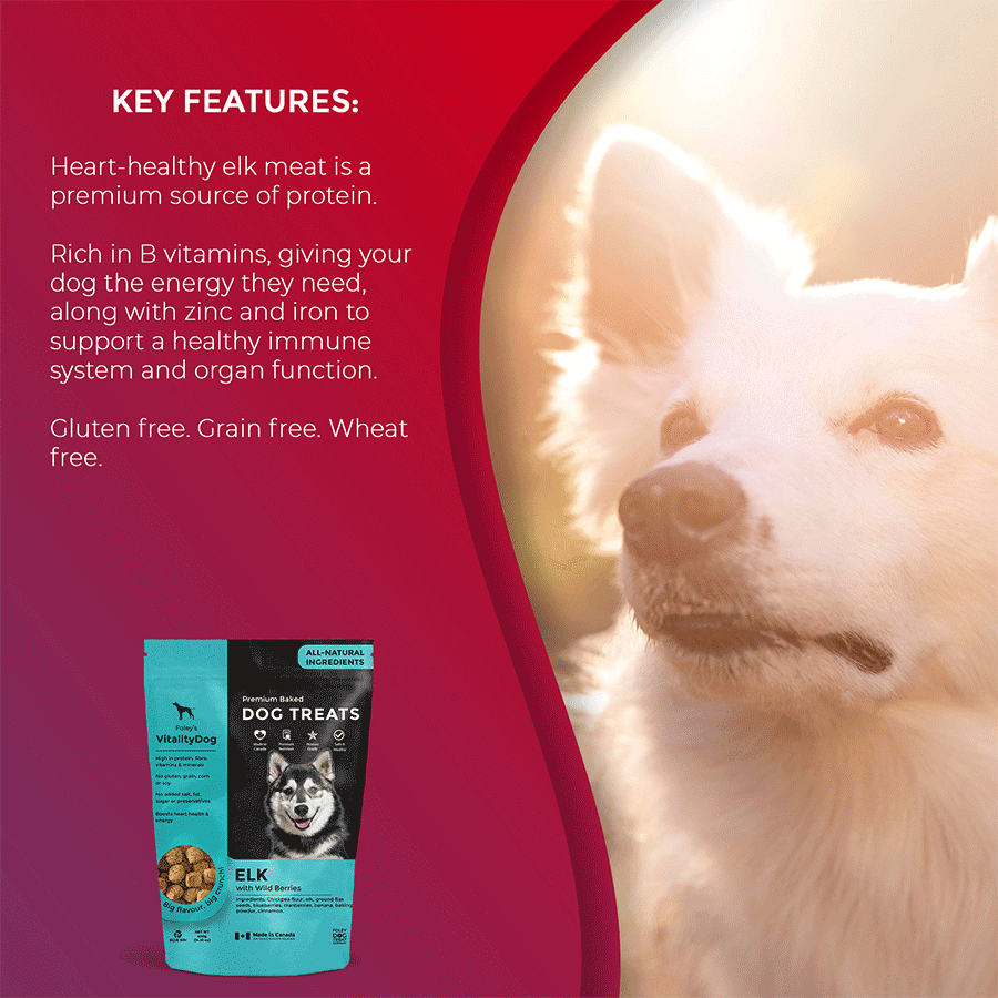 Dog treats with zinc sale