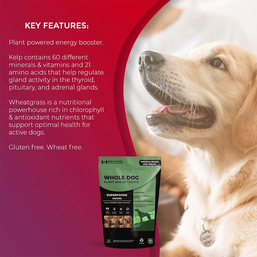 Superfoods Greens - Foley Dog Treat Company