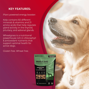 
                  
                    Superfoods Greens - Foley Dog Treat Company
                  
                