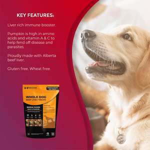 
                  
                    Whole Meat & Pumpkin - Foley Dog Treat Company
                  
                