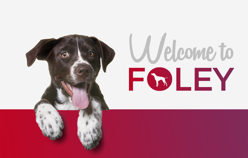 Foley Dog Treat Company