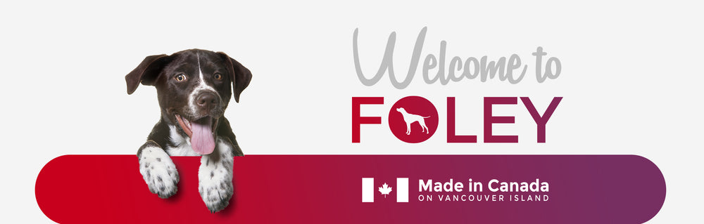 Foley Dog Treat Company