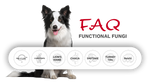 Foley Dog Treat Company