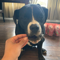 Foley Dog Treat Company