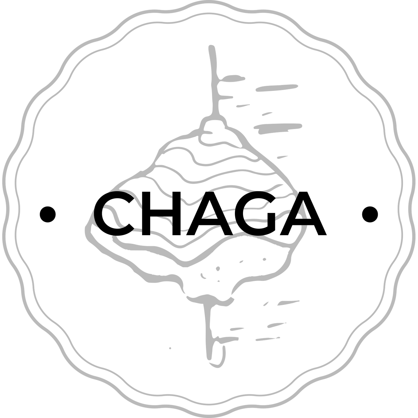 CHAGA.png__PID:20e51b37-2eff-4882-904b-9118332c6810