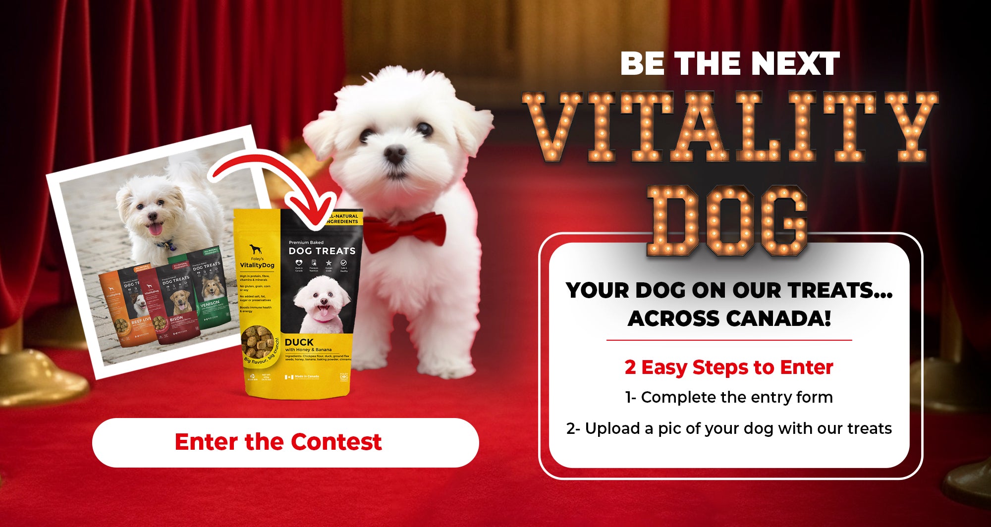 Dog treat stores near me deals