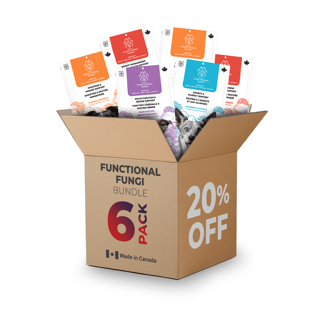 Functional Fungi - 6 Pack Bundle - Foley Dog Treat Company