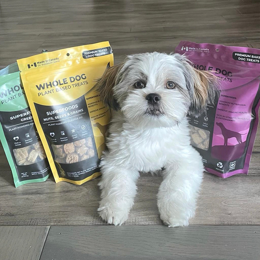 Foley Dog Treat Company