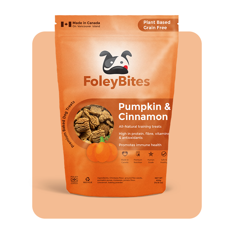 FLYMEe フライミー DECORATIVE DOG デコラティブ ドッグ Pumpkin & Cinnamon – Foley Dog Treat Company