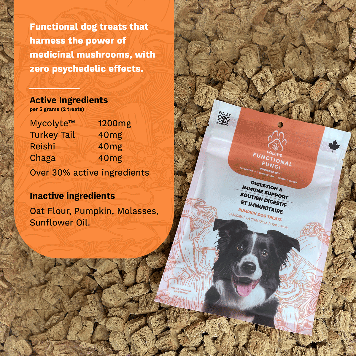 Can Apple Extracts Boost Dog Immune System photo