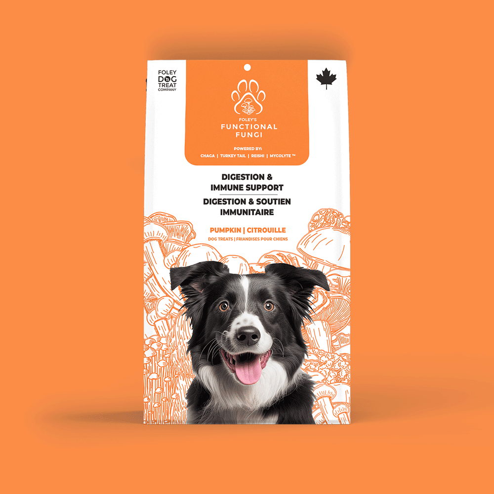 Digestion Immune Support Pumpkin Foley Dog Treat Company