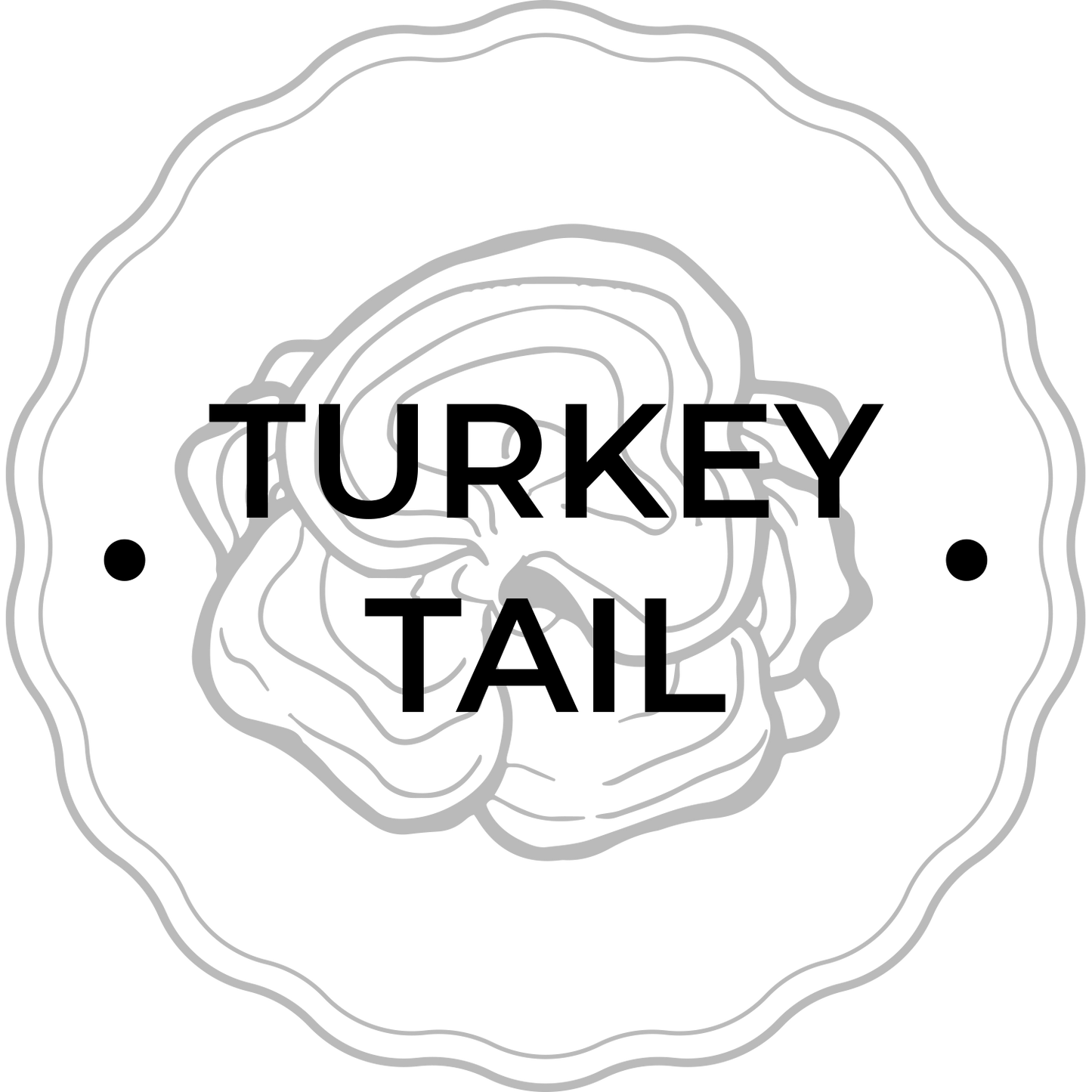 TURKEY TAIL.png__PID:b84e4287-ba1b-4230-8b7c-adf98306cbb5