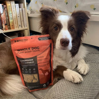 Foley Dog Treat Company