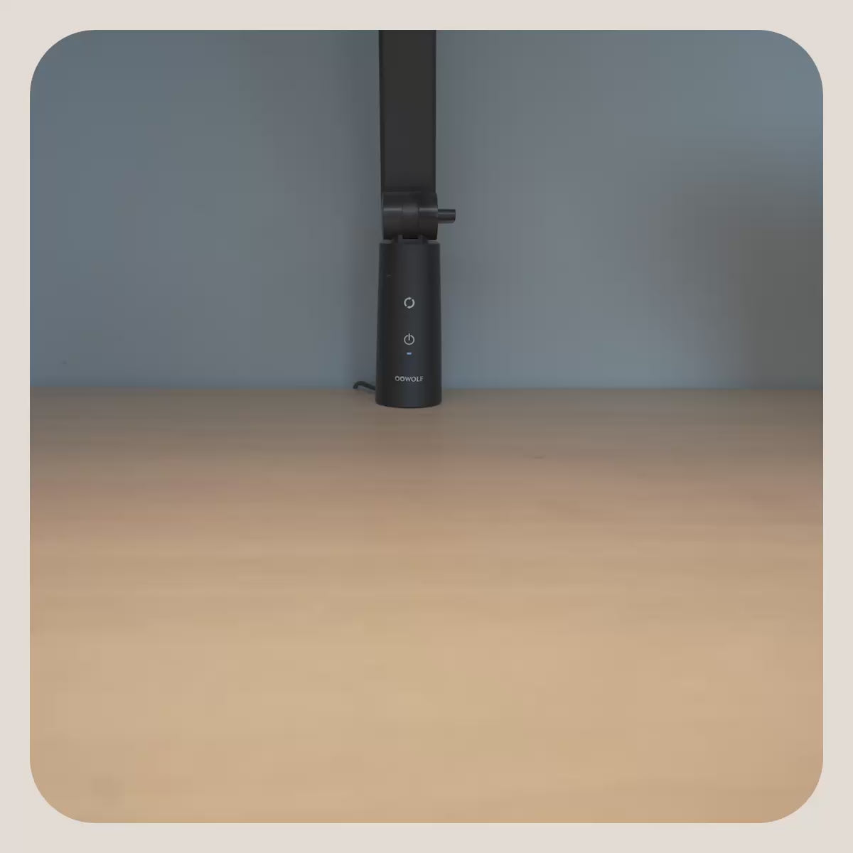 Duck with Honey and Banana