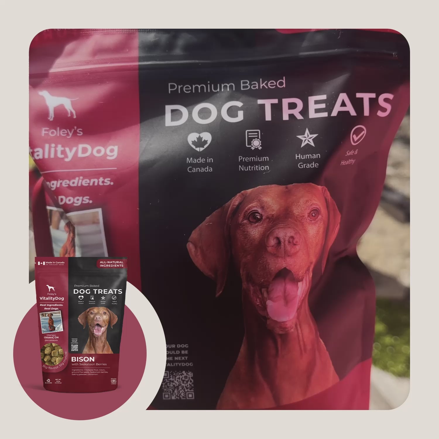 Bison with Saskatoon Berries – Foley Dog Treat Company
