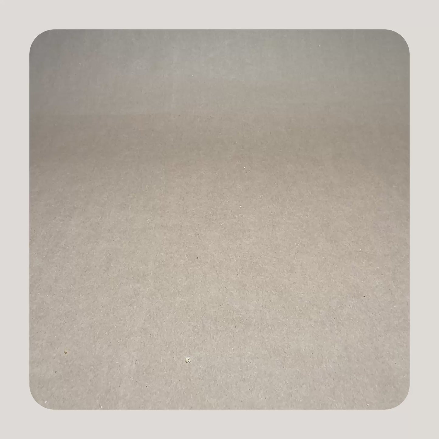 Bison with Saskatoon Berries