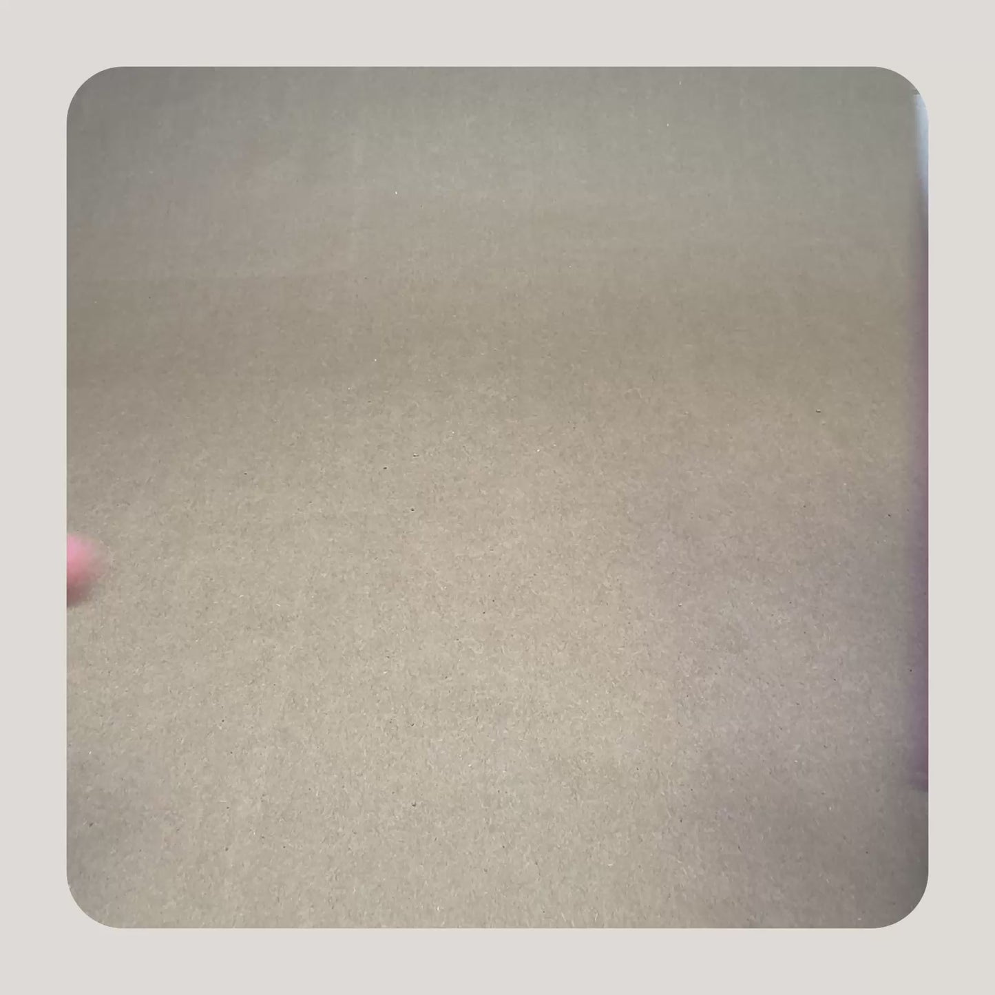 Brain Function & Senior Support - Peanut Butter