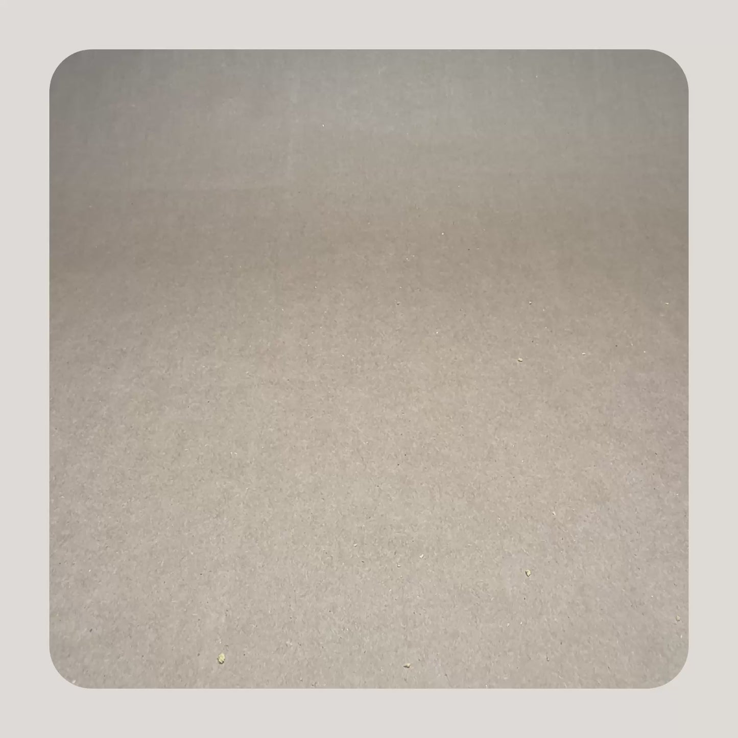 Elk with Wild Berries